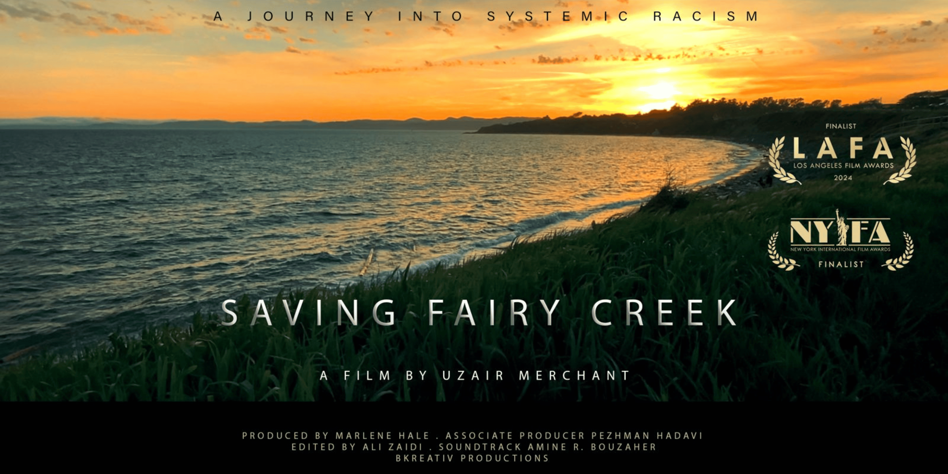 Saving Fairy Creek